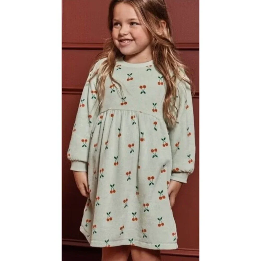 Hanna Andersson Long Sleeve Velour Dress –‎ Cherry Berry on Seafoam (Size 8)